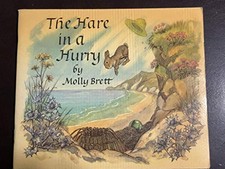 Hare in a Hurry (Medici books