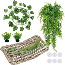 Bearded Dragon Accessories