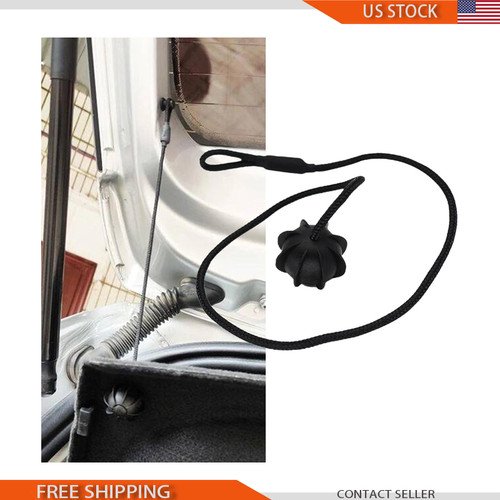Rear parcel shelf - rear,