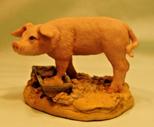 Teviotdale Pig in a Trough by