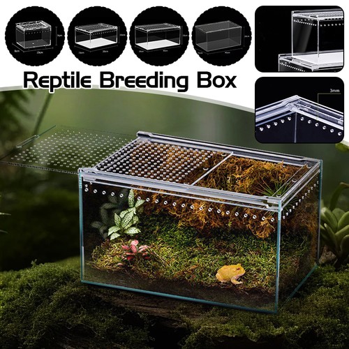 Reptile habitat terrarium - reptile,
