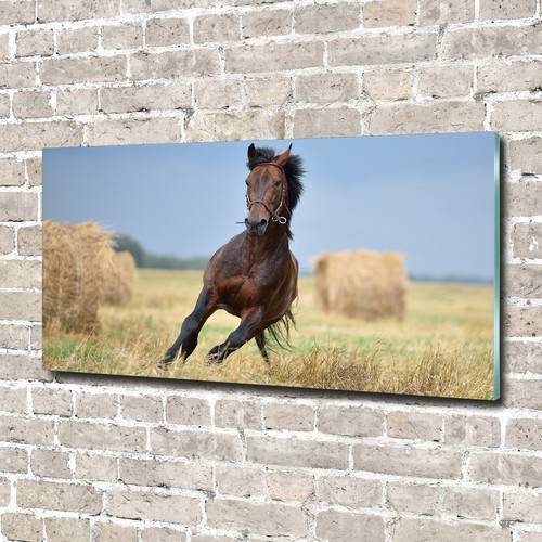 Glass picture wall art print