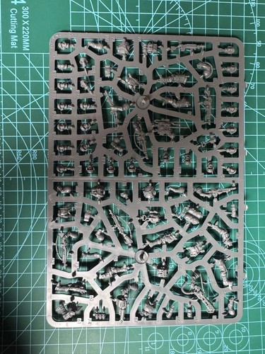 Cadian shock troops - cadian,