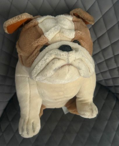Bulldog plush soft toy - plush, stuffed