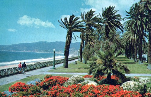 Santa monica california - santa,