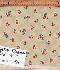 American Jane Look & Learn