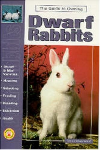 Guide owning dwarf rabbits - guide,