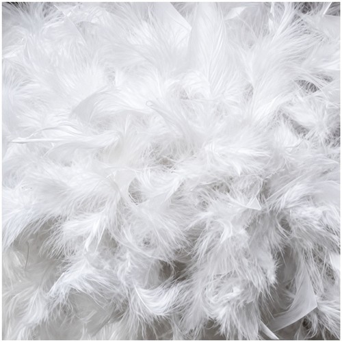 Feather boa costume - feather,