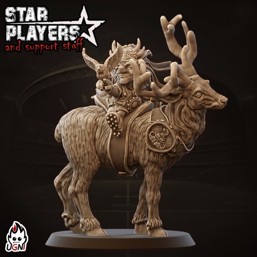 Forest gnome star player - forest,