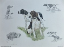 NIGEL HEMMING Pointer hunting