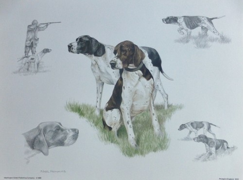 Nigel hemming pointer - hemming, hunting