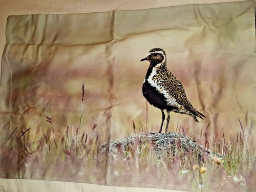Iceland print cushion cover - iceland,