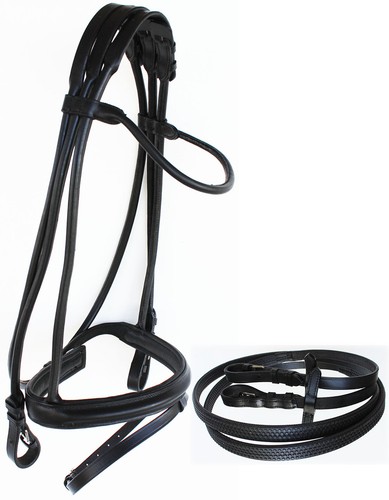 Horse english leather padded - horse,