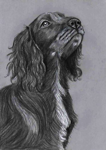 Original pencil artwork art