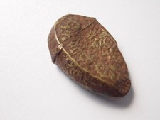 ANTIQUE GESCHUTZT AUSTRIAN NOVELTY COLD PAINTED BRONZE BRAZIL NUT VESTA CASE