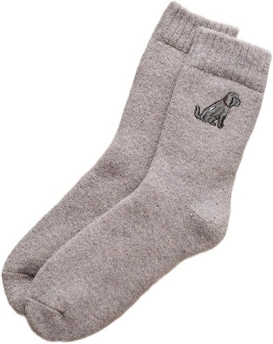 Sweet william dog - walker, socks