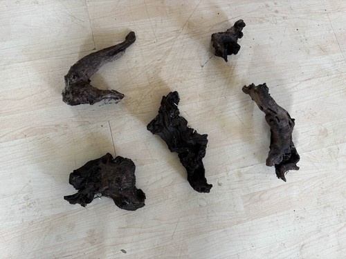 Large aquarium driftwood - driftwood, –