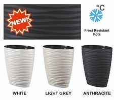 SPRING SALE OFFER%  Plant Pot