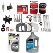 Mercury Outboard 300 hour Service Kit 60hp CT BF EFI 4-Stroke Inc Oils