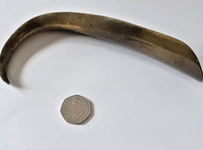 Shoe Horn Curled Rams Horn