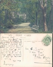 Albert Park path Middlesbrough