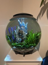 BiOrb HALO 60 Aquarium with
