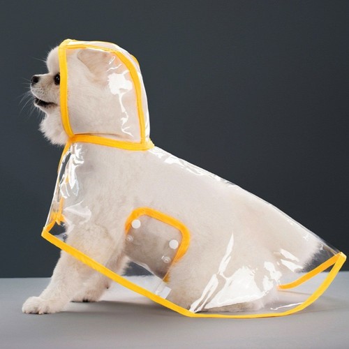 Transparent hooded pet - transparent, dog