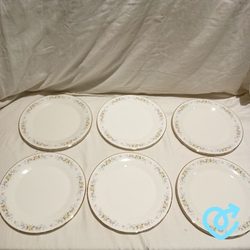 Mayfair dinner plates - plates, 6