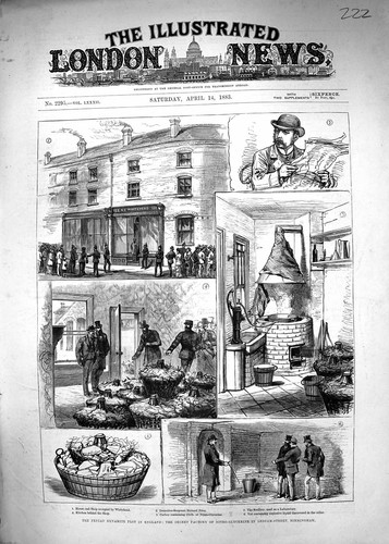 Old 1883 fenian dynamite - old,