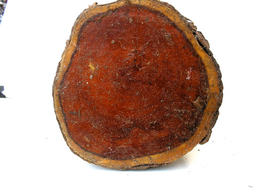 Yew log 27cm long - yew,