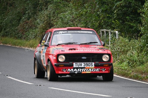 Car photo 12x8 ford - car,