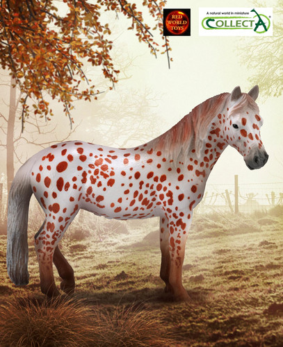 British spotted pony mare - british,