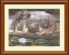 BORDER TERRIER PUPPIES fine art Border Terrier dog print by Lynn Paterson