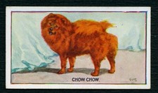CHOW CHOW RARE 1926 SANDERS CRYSTAL JELLY OLD DOG TRADE CARD #13
