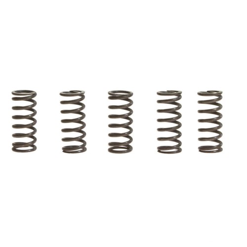 Trw clutch spring - spring, kit