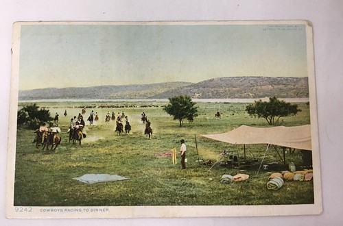 Cowboyshearding cattle - cowboyshearding,