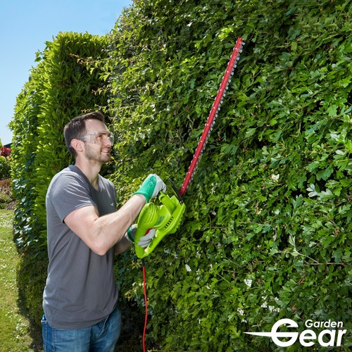Garden gear hedge - hedge, bush