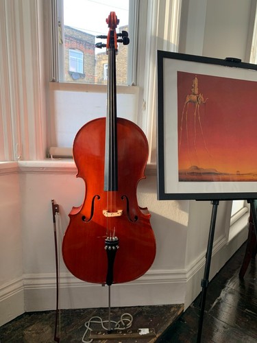Cello size skylark 40cm - ,