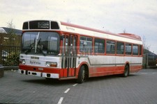 35mm Slide Red & White Leyland