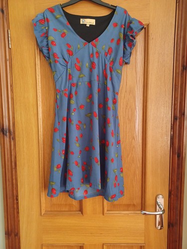 Lovely tenki dress - dress, m/l