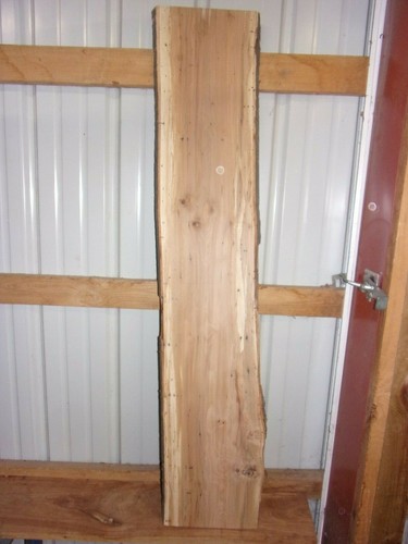 Rustic beech slab - pc,