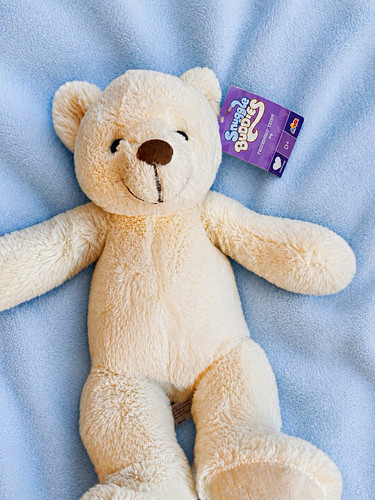 Cream teddy bear soft - teddy,