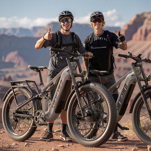 Dual motor electric bike fat - dual,