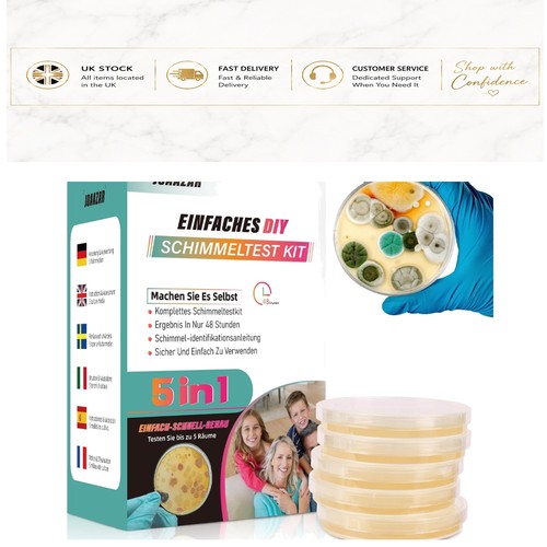 Comprehensive room mold - 5-room,