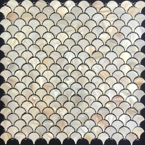 11pcs natural fish - scale, shell