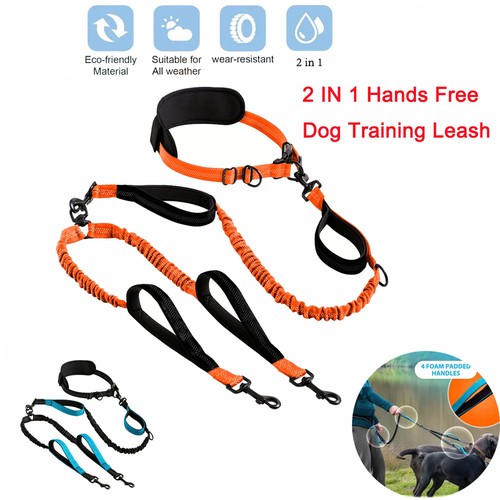 Hands free dog leash for - hands,