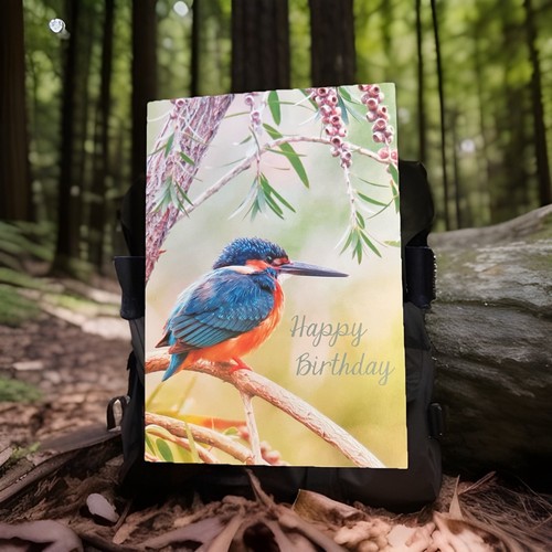 Kingfisher nature wildlife - kingfisher,