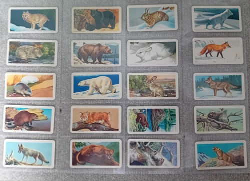 Brooke bond animals - bond, of