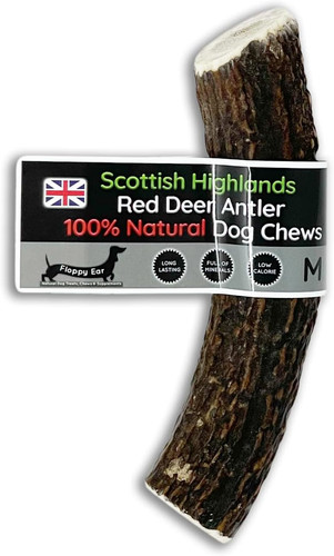 Scottish deer antler dog chews - deer,