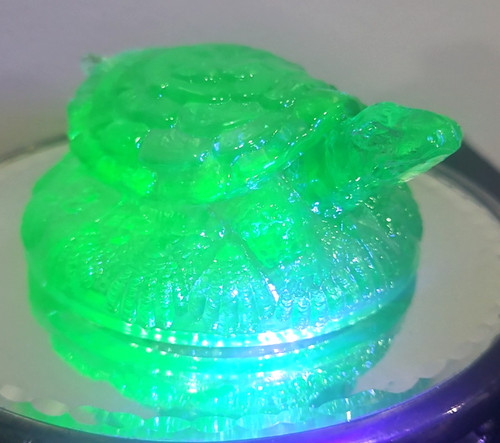 Wilkerson snappy turtle - snappy, green